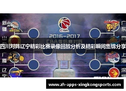 四川对阵辽宁精彩比赛录像回放分析及精彩瞬间集锦分享