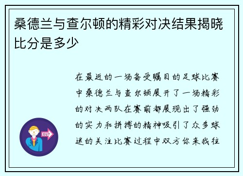 桑德兰与查尔顿的精彩对决结果揭晓比分是多少